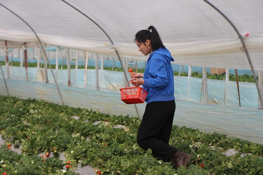 1774250767916641.jpg 640 (4).jpg